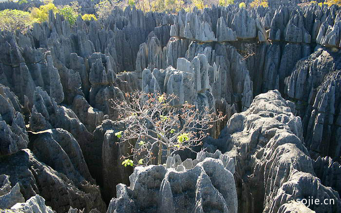 马达加斯加国家公园