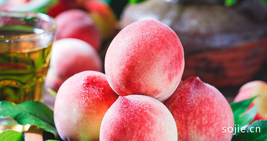 铜川有哪些特色水果 陕西铜川特产