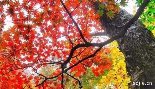 抚顺十大旅游景点大全抚顺一日游必去的景点