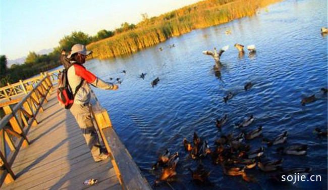 野鸭湖国家湿地公园