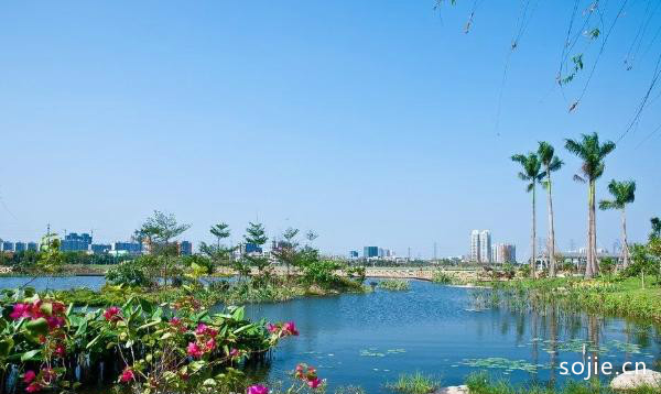 2020广州海珠湖开放时间交通及游玩攻略