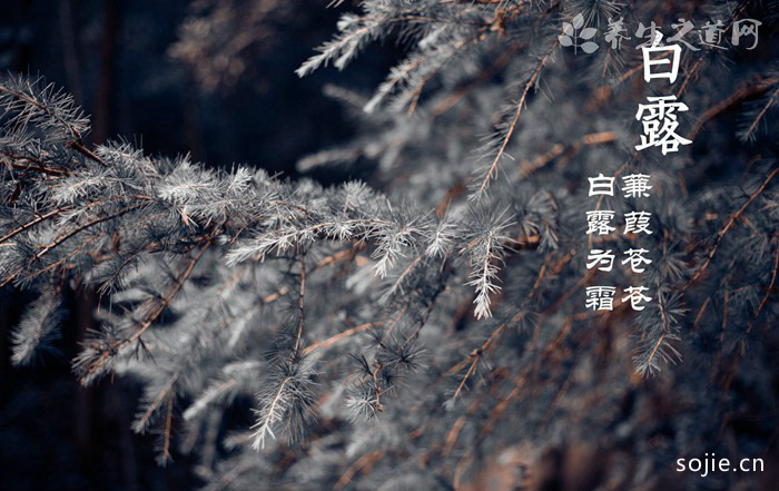 小雪节气的习俗