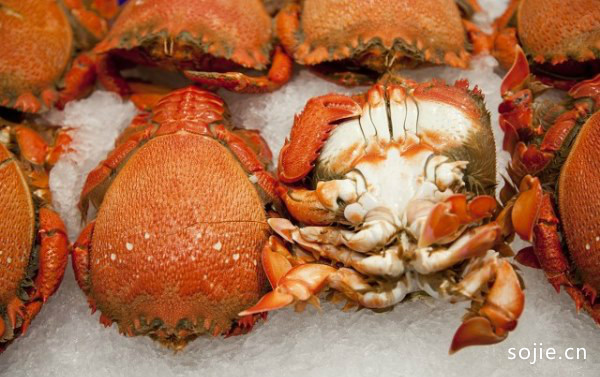 太湖蟹和阳澄湖蟹哪个种类比较好吃