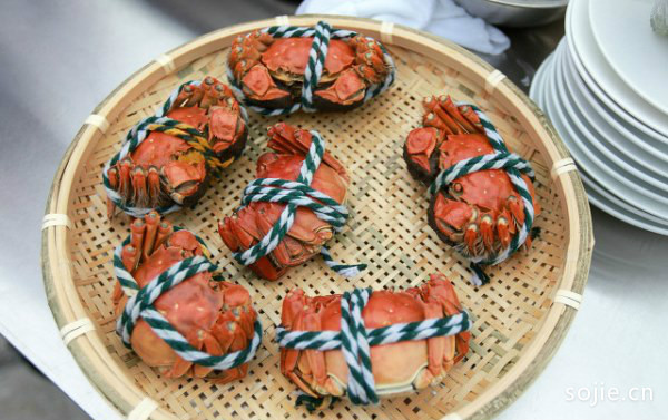 太湖蟹和阳澄湖蟹哪个种类比较好吃