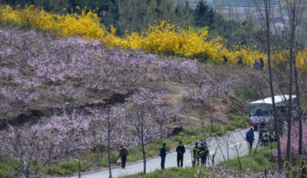 2021济宁母亲节景区门票有哪些优惠-优惠时间