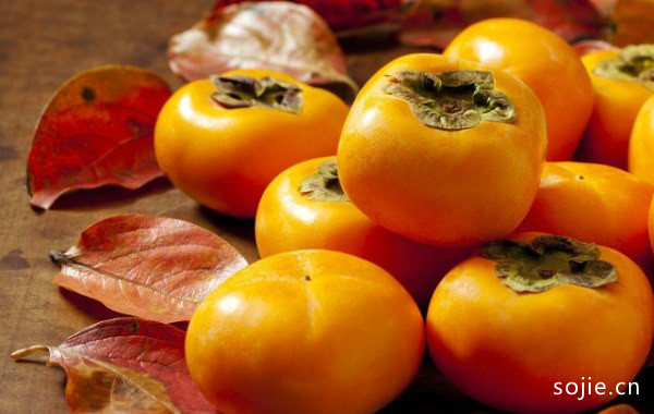 食用过量柿子会对身体产生危害吗?