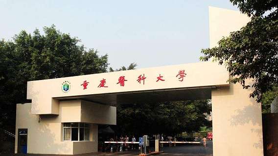 重庆医科大学是211吗？为什么分那么高？最强专业？就业率高吗？