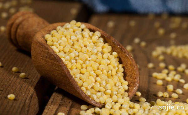 金银米饭的营养价值