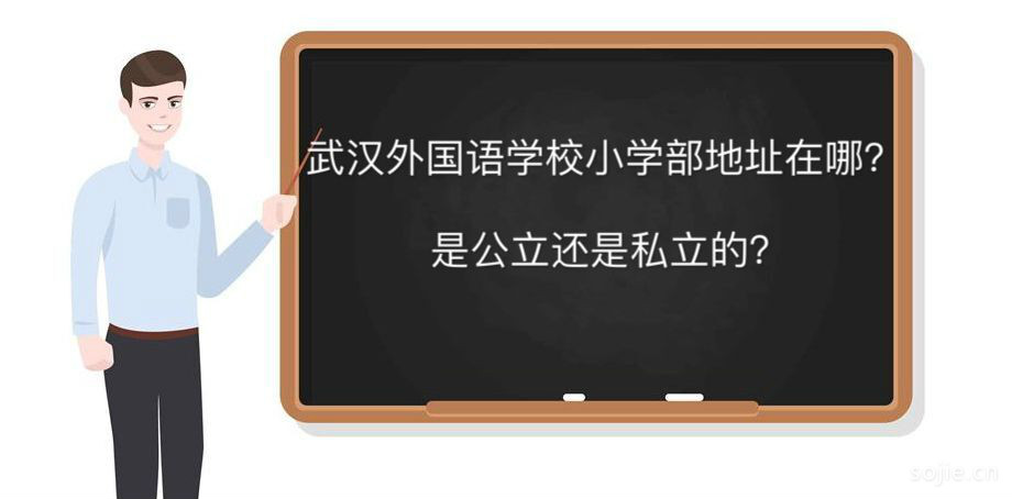 武汉外国语学校小学部地址在哪？是公立还是私立的学费一年多少钱