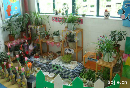 5款幼儿园植物角布置摆放设计图片 幼儿园植物区植物种类布置图片欣赏