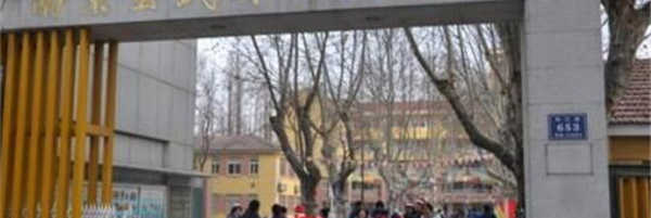 南京四大贵族学校 玄武外国语学校上榜,树人国际学校全国闻名